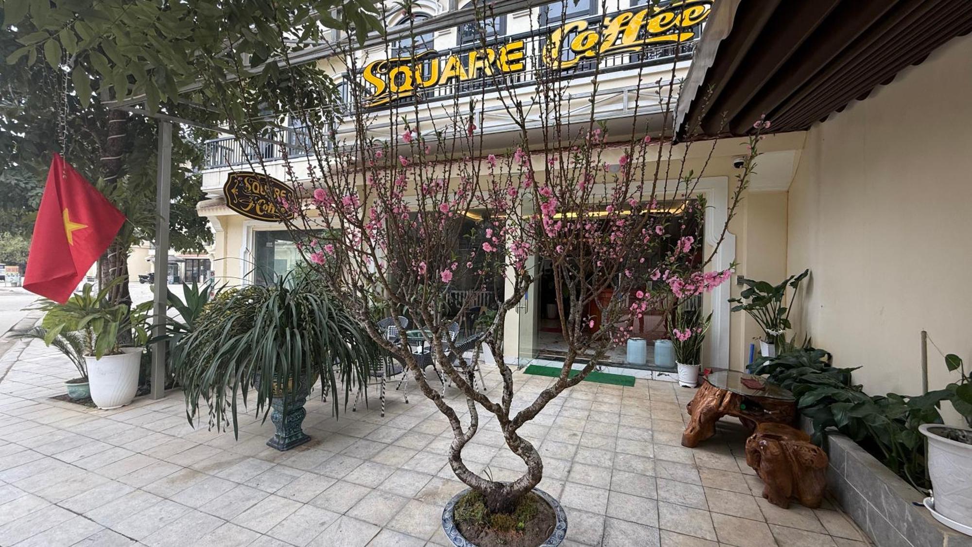 Square Homestay & Coffee Bac Ha  Exteriér fotografie